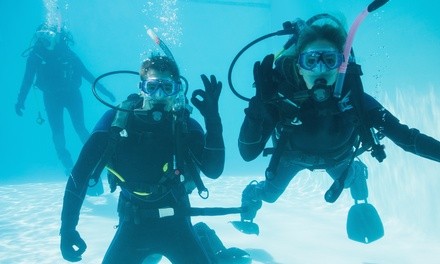 $49 for Discover Scuba Diving Experience for One at Divers Cove ($99 Value)