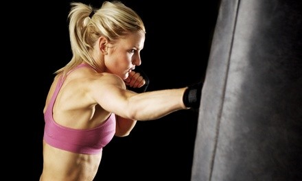 Up to 67% Off on Boxing / Kickboxing at Maximum Impact Karate