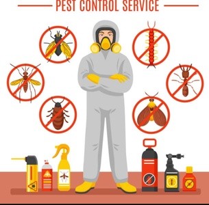 Up to 50% Off on Pest Control Service - General at MZ Pest control