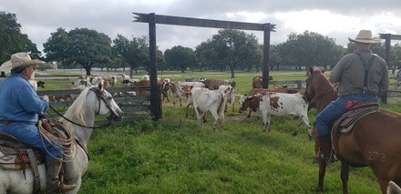 General Admission for One, Two, or Four Adults to George Ranch Historical Park (Up to 41% Off)