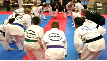 Up to 89% Off on Online Self Defense Course-Women at LeeHan Martial Arts Academy