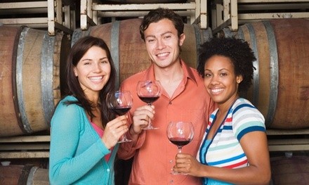 Two-Hour Guided Private Wine Tasting for Two, Three, or Four People at Divino Tasting Room (Up to 30% Off)