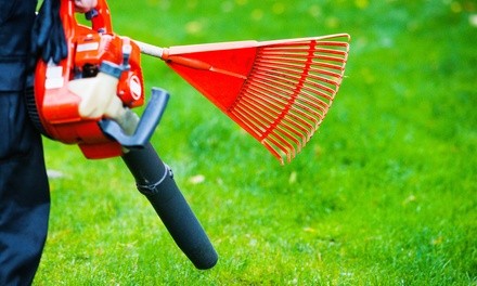 Lawn Mowing for Front Yard, Back Yard, or Both from Top to Bottom Extreme Cleaning Service (Up to 38% Off)