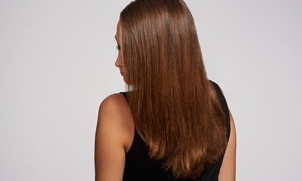 Haircut, Condition, and Style w/ Optional Partial or Full Highlights at Nik Daniels Hair Studio (Up to 61% Off)