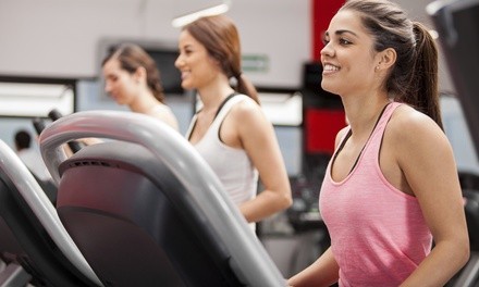 Up to 50% Off on Gym at Ever Fitness