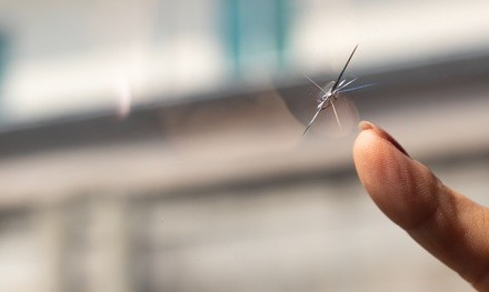 $29.75 for Window or Windshield Chip Repair for One Vehicle at Quality Auto Glass Window Tint ($70 Value)