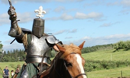 Admission to the NY Capital District Renaissance Festival on June 11 or 12 (Up to 50% Off).