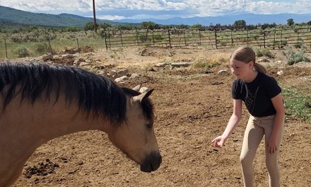 Five Horsemanship Lesson at Hawk Meadows Ranch (Up to 25% Off)