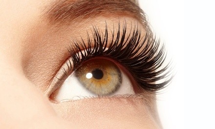 $60 for $200 Worth of Services — Lash Confetti Co