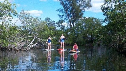 Up to 74% Off on Paddleboarding - Training at Sunrise Paddleboards