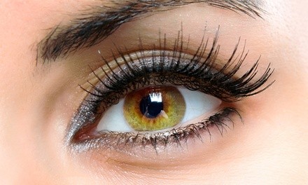 Eyelash Extensions with Optional Two-Week Fill at The Beauty Standards (Up to 52% Off)