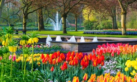 Admission for One, Two, or Four to Colorado Tulip Festival (Up to 32% Off)