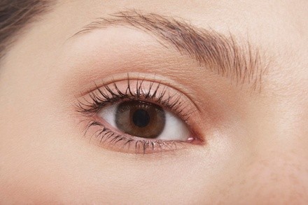 Up to 33% Off on Eyebrow Waxing at Skin Etiquette @ NTouch