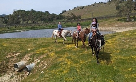 Up to 25% Off on Horse Back Riding at Trails of 49