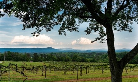 Cheese Tray with Complimentary Wine Glasses for One or Two at Tennessee Mountain View Winery (Up to 53% Off)