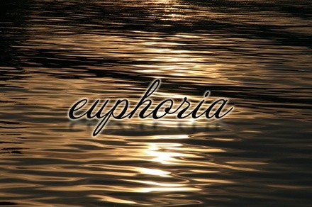 Up to 46% Off on Massage - Custom Specialty at Euphoria Massage