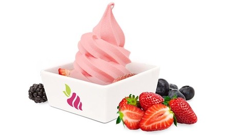 Two vouchers for Froyo, Each Worth $10 Berry Delight (37% Off)