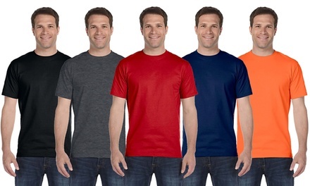 Gildan Men's T-Shirt Assorted Bundle (10-Pack)