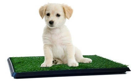 Puppy Potty Trainer Indoor Restroom for Pets