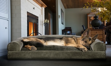 Furhaven Sofa-Style Fiber-Filled Pillow Pet Bed for Dogs