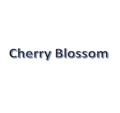 Cherry Blossom