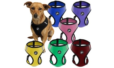 Soft Comfort Control Dog or Cat Pet Harness