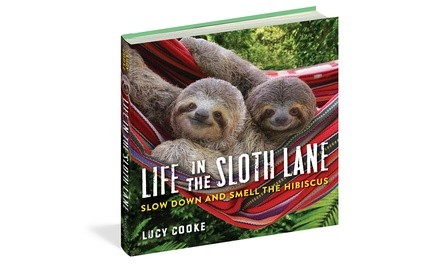 Life in the Sloth Lane Kids' Book