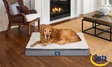 Serta Ortho Mattress Top Pet Bed