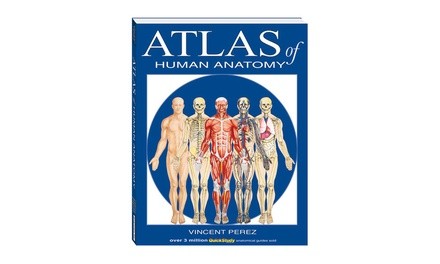 Atlas of Human Anatomy